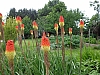2016_mai-photo04.JPG