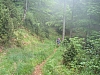 2016_mai-photo50.JPG