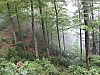 2016_mai-photo51.JPG